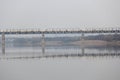 Beautiful spring landscape with a bridge over a river in a nasty day