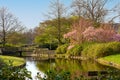 Beautiful spring landscape. Canal with a bridge and blossoming trees along the shore