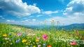 Beautiful spring landscape with colorful wildflowers in a green meadow Royalty Free Stock Photo