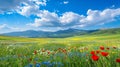 Beautiful spring landscape with colorful wildflowers in a green meadow Royalty Free Stock Photo