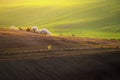 Beautiful spring landscape. Flowering trees on fields with waves - Moravian Tuscany Czech Republic Royalty Free Stock Photo