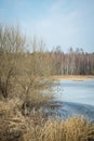 Beautiful spring landscape with frozen lake and bare bushes and reeds on the lake shore Royalty Free Stock Photo