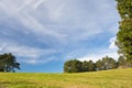 Beautiful spring landscape green meadow trees and blue sky background Royalty Free Stock Photo