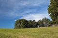 Beautiful spring landscape green meadow trees and blue sky background Royalty Free Stock Photo