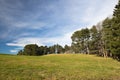 Beautiful spring landscape green meadow trees and blue sky background Royalty Free Stock Photo