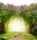 Beautiful landscape.Lilac trees in blossom Magic forest with road. Fantasy  background Royalty Free Stock Photo