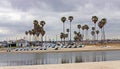 Beautiful spring landscape with palm trees