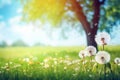 Beautiful spring landscape. Park with old trees, green grass and dandelions. Summer, spring background.