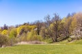 Beautiful spring landscape of public park with trees and green grass under blue sky Royalty Free Stock Photo