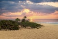 a beautiful spring landscape at Sandy Beach with blue ocean water, silky brown sand, people relaxing, palm trees, blue sky and Royalty Free Stock Photo