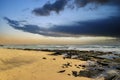 a beautiful spring landscape at Sandy Beach with blue ocean water, silky brown sand, rocks covered in green algae, crashing waves Royalty Free Stock Photo