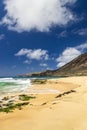 a beautiful spring landscape at Sandy Beach with blue ocean water, silky brown sand, rocks covered in green algae, palm trees Royalty Free Stock Photo