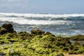 a beautiful spring landscape at Sandy Beach with blue ocean water, silky brown sand, rocks covered in green algae Royalty Free Stock Photo