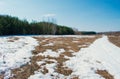 Beautiful spring landscape, the snow is melting