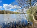 Beautiful spring landscape. Trees on the banks of the Pekhorka River in Balashikha Royalty Free Stock Photo