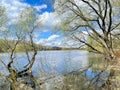 Beautiful spring landscape. Trees on the banks of the Pekhorka River in Balashikha. Royalty Free Stock Photo