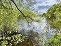 Beautiful spring landscape. Trees on the banks of the Pekhorka River in Balashikha in may Royalty Free Stock Photo