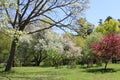 Spring Landscape In Rochester 