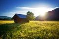 Beautiful spring meadow. Sunny clear sky with hut in mountains. Colorful field full of flowers. Grainau, Germany