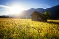Beautiful spring meadow. Sunny clear sky with hut in mountains. Colorful field full of flowers. Grainau, Germany