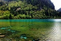 Beautiful Spring mountain and lake