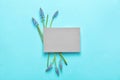 Beautiful spring muscari flowers and card on color background, flat lay Royalty Free Stock Photo