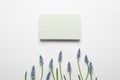 Beautiful spring muscari flowers and card on light background, flat lay Royalty Free Stock Photo