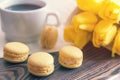 Beautiful spring music background. Cup of coffee, macaroons, yellow tulips, musical page on a dark wooden background. Shallow