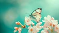 Beautiful spring nature background with butterfly lovely blossom Beautiful wildflowers AI Generative