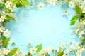 Beautiful spring nature background with lovely blossom, petal a on turquoise blue background , top view, frame. Springtime concept Royalty Free Stock Photo