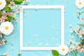 Beautiful spring nature background with lovely blossom, petal a on turquoise blue background , top view, frame. Springtime concept