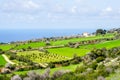 Beautiful spring nature landscape in Cyprus with the Mediterranean coast in the background Royalty Free Stock Photo