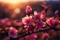 Spring blooming peach with closeup pink flowers at sunset Ai generated