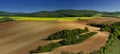 Beautiful spring panoramatic shot with a meadow Royalty Free Stock Photo