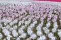 Beautiful spring park playground decorated with Children windmill on a summer Royalty Free Stock Photo