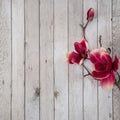 Beautiful spring petal on the wooden background