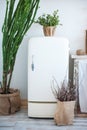 Beautiful spring photo of kitchen interior in light textured colors. Kitchen with an old white refrigerator, a large cactus Royalty Free Stock Photo