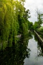 Beautiful spring river and forest. Nature Reflection of trees in the water. Abstract natural background. Blurry Royalty Free Stock Photo