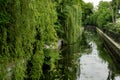 Beautiful spring river and forest. Nature Reflection of trees in the water. Abstract natural background. Blurry Royalty Free Stock Photo