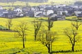 Beautiful spring rural landscape