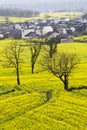 Beautiful spring rural landscape in China