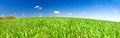 Spring rural landscape with field and blue sky, a panorama Royalty Free Stock Photo