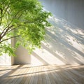 Spring sunlight in green branch of tree with shadow on white wall, floor, copy space Royalty Free Stock Photo