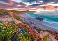 Beautiful spring scenery. Colorful morning scene of Sardinia, Italy, Europe. Royalty Free Stock Photo