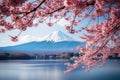 Beautiful spring season and Mountain Fuji with pink cherry blossom flowers at lake Kawaguchiko in Japan Royalty Free Stock Photo