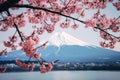 Beautiful spring season and Mountain Fuji with pink cherry blossom flowers at lake Kawaguchiko in Japan Royalty Free Stock Photo