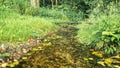 Beautiful spring  a stream flowing in nature. Fallen leaves and grass around. Small wooden bridge in the distance. Royalty Free Stock Photo