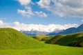 Beautiful spring and summer landscape. Lush green hills, high mountains. Spring blooming herbs. Mountain wild tulips. Blue sky and