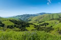 A beautiful spring/summer scene with blue lupine wildflowers and a vast landscape of lush green fields, hills, and mountains Royalty Free Stock Photo