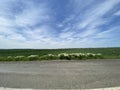 Beautiful spring summer view of endless panoramic agriculture fields sky asphalt road